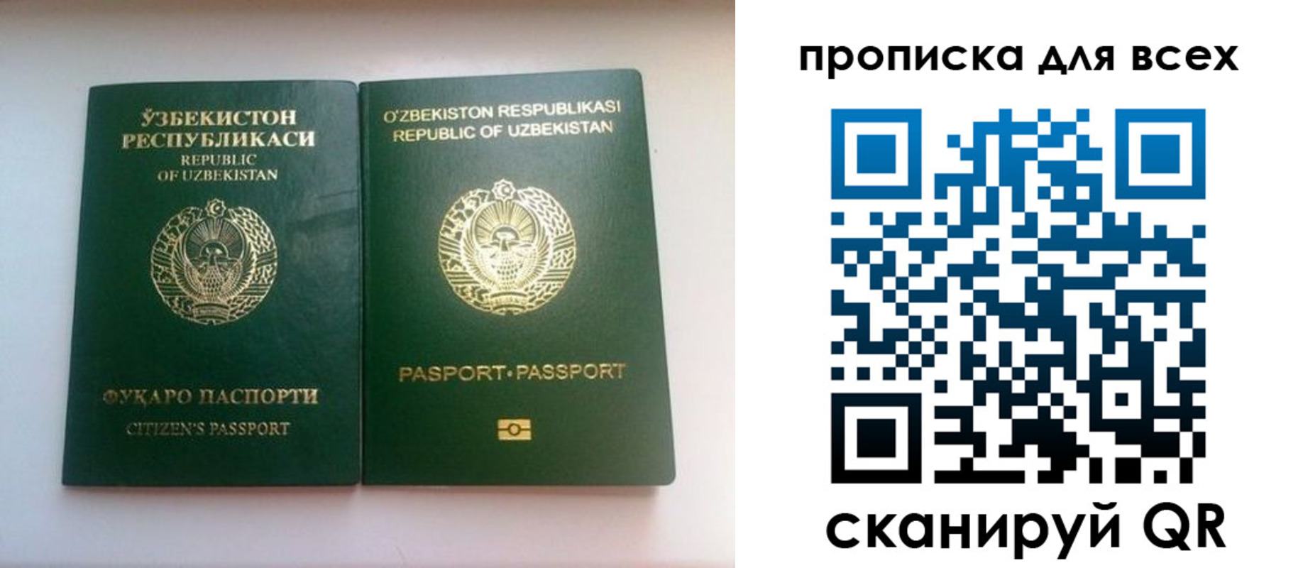 прописка для школы в Галиче